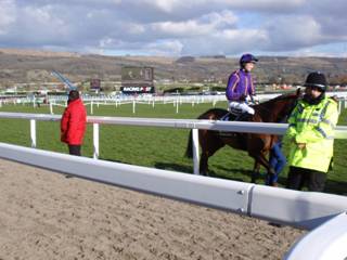 Race 4 k Wicklow Brave.jpg