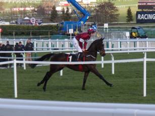 Race 5 a Apple's Jade.jpg