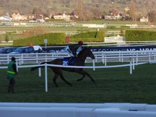 Race 7 a Mister Whitaker.jpg