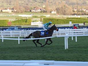 Race 7 c Western Miller.jpg