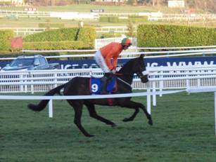 Race 7 l De Plotting Shed.jpg