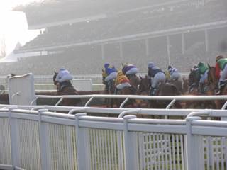 race 6 g.jpg