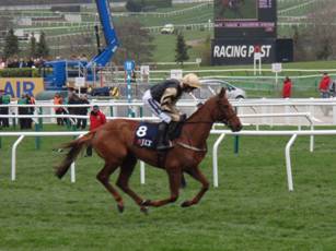 Race 1 c Yorkhill.jpg