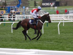 Race 1 d Kilcrea Vale.jpg