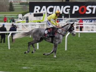 Race 1 f Politologue.jpg