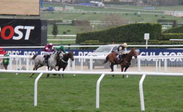 Race 1 j on the run-in.jpg