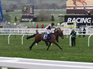 Race 2 a Ballymalin.jpg