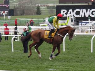 Race 3 a Alary.jpg