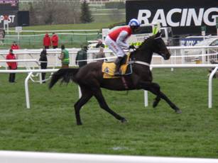 Race 3 b Josses Hill.jpg