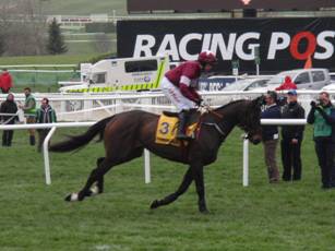 Race 3 f Empire Of Dirt.jpg