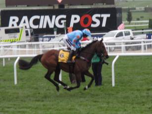 Race 3 g Un De Sceaux.jpg