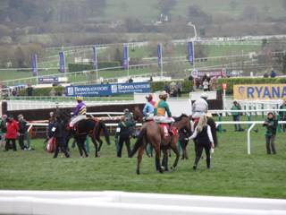 Race 4 a pre-parade.jpg
