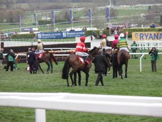 Race 4 b pre-parade.jpg