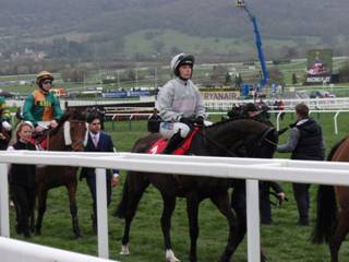 Race 4 e Clondaw Warrior.jpg