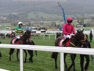 Race 4 i Snow Falcon.jpg