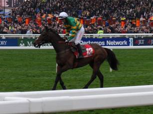 Race 4 q Unowhatimeanharry.jpg