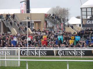 Race 5 b view across the racecourse.jpg