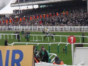 Race 5 d Pinkie Brown.jpg