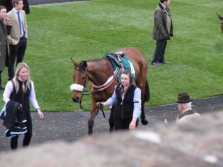 Race 6 a La Bague Au Roi.jpg