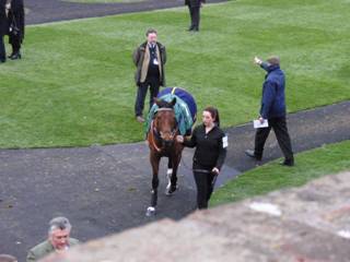 Race 6 b Dusky Legend.jpg