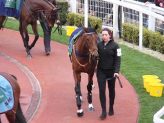 Race 6 c Dusky Legend.jpg