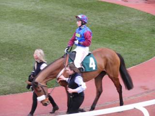 Race 6 g La Bague Au Roi.jpg