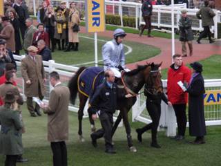 Race 6 h Dusky Legend.jpg