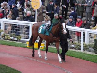 Race 7 a Forgotten Gold.jpg