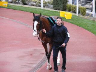 Race 7 e Forgotten Gold.jpg