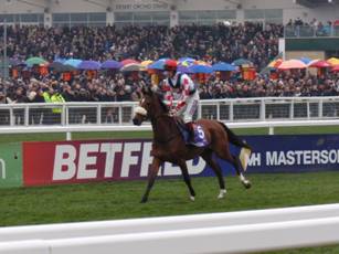 Race 2 a.jpg