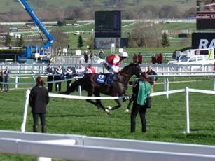 Race 1 b Skipthecuddles.jpg