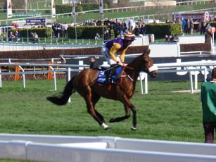 Race 1 c Brelade.jpg