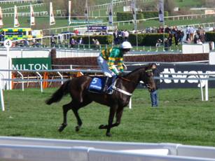 Race 1 c Consul De Thaix.jpg