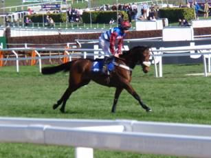 Race 1 d Keeper Hill.jpg