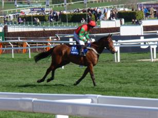 Race 1 e Neon Wolf.jpg
