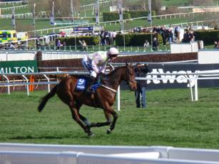 Race 1 f Livelovelaugh.jpg