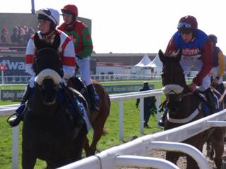 Race 1 m Skipthecuddles.jpg