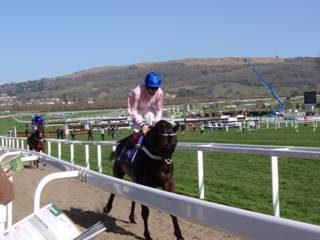 Race 2 a O O Seven.jpg