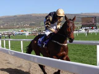 Race 2 d Bellshill.jpg