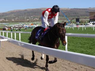 Race 2 e Briery Belle.jpg