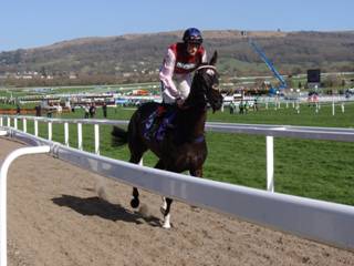 Race 2 g Our Kaempfer.jpg