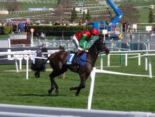 Race 3 a Taquin Du Seuil.jpg