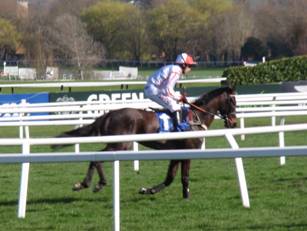 Race 3 d Who Dares Wins.jpg