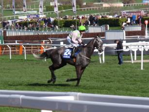 Race 3 e Bravissimo.jpg