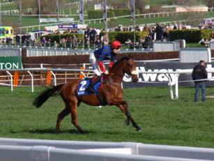Race 3 f Old Guard.jpg
