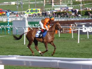 Race 3 h Robinshill.jpg