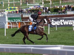 Race 3 i Leoncavallo.jpg