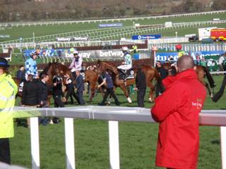 Race 4 a pre-race parade.jpg
