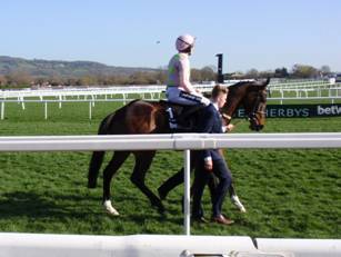 Race 4 d Douvan.jpg