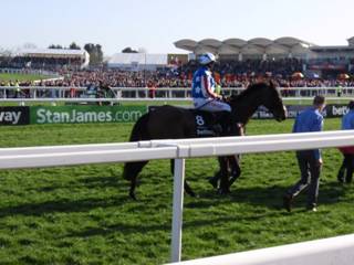 Race 4 i Special Tiara.jpg